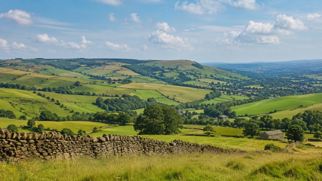 Rolling green Yorkshire countryside with a dry stone wall in the foreground